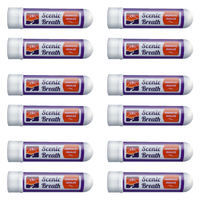 Nasal Sticks (12 ct)