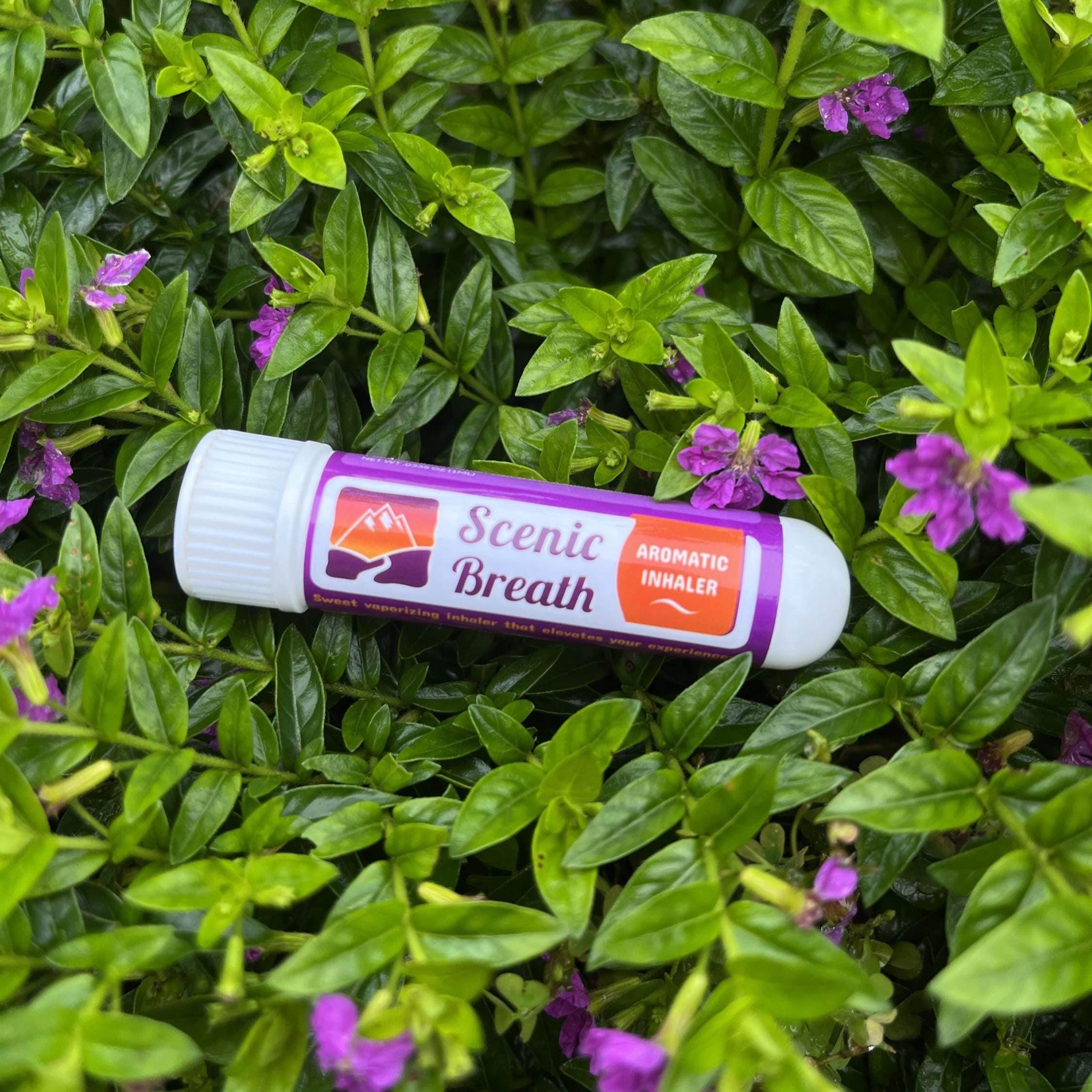 Lavender Mint Sticks