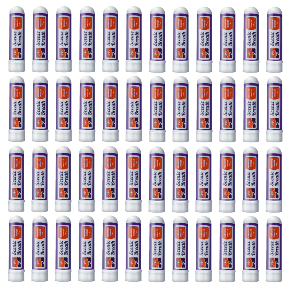 Nasal Sticks (48 ct)