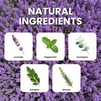 Herbal ingredients with labels on a background of purple flowers, labeled as Lavender, Peppermint, Eucalyptus, Camphor, and Borneol.