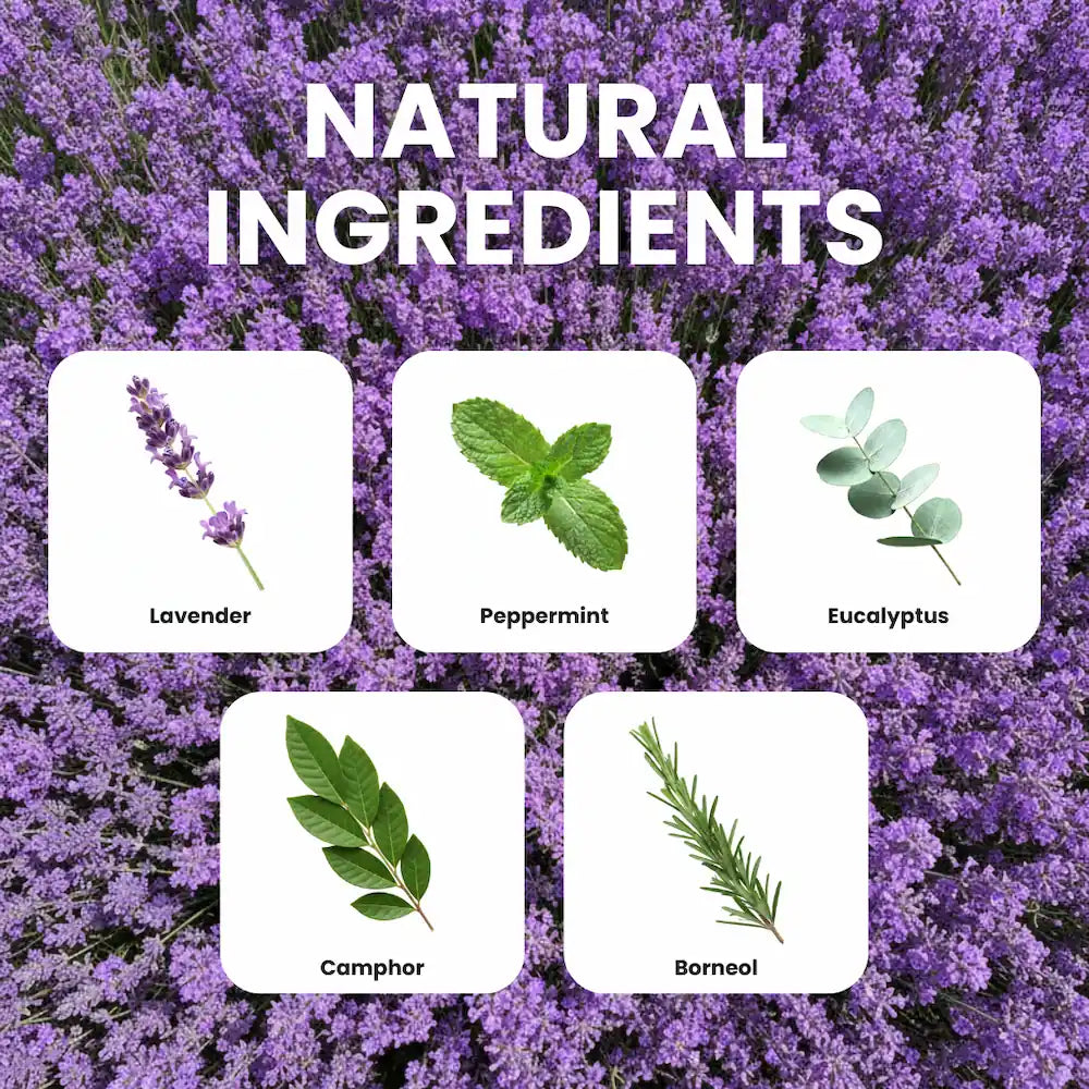 Herbal ingredients with labels on a background of purple flowers, labeled as Lavender, Peppermint, Eucalyptus, Camphor, and Borneol.