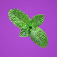 Peppermint