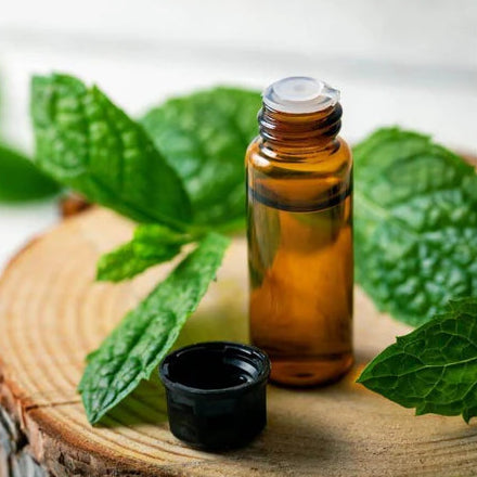 Bottle of peppermint essential oil with fresh mint leaves on a wooden surface.