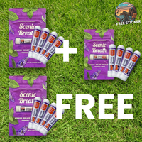 Nasal Sticks (12-PCS)