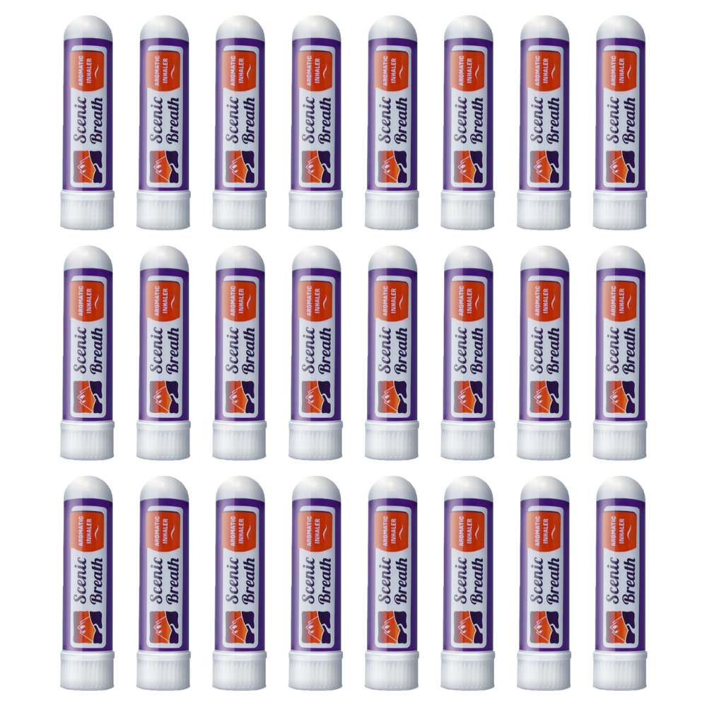 Nasal Sticks (24 ct)