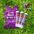 Scenic Breath Lavender Mint aromatherapy nasal inhaler 3-pack with pouch and free sticker on grass
